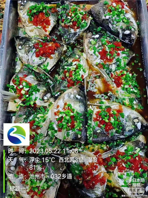 香港最快最准资料免费