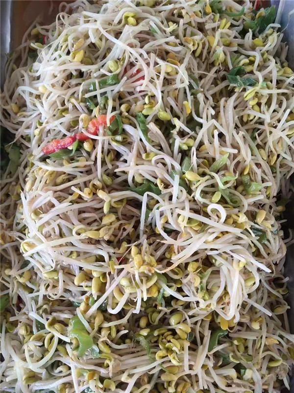 香港最快最准资料免费